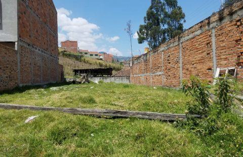 LOTES CON TODAS LAS OBRAS-T1004