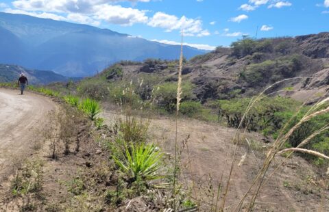 T1115_EN VENTA TERRENO